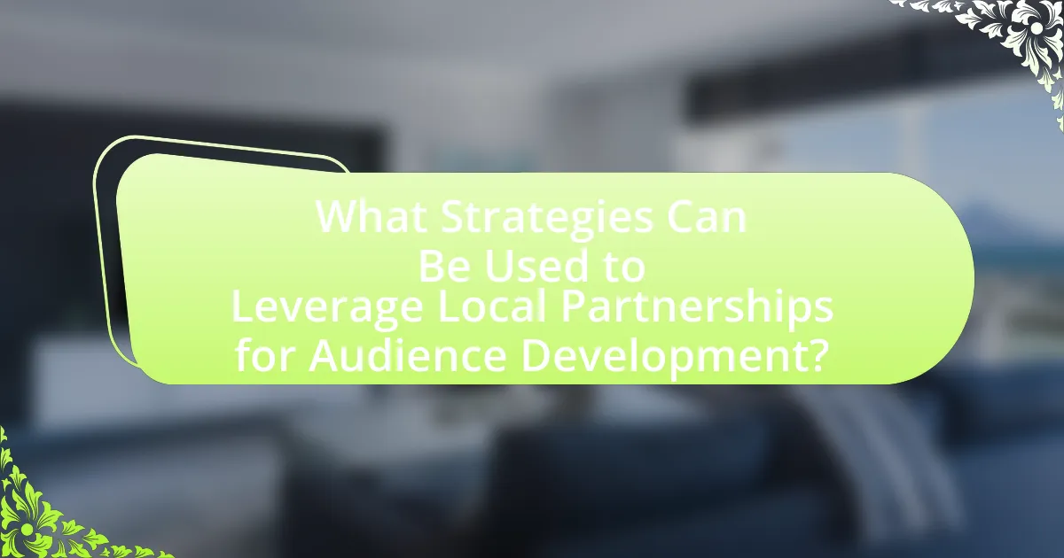 What Strategies Can Be Used to Leverage Local Partnerships for Audience Development?
