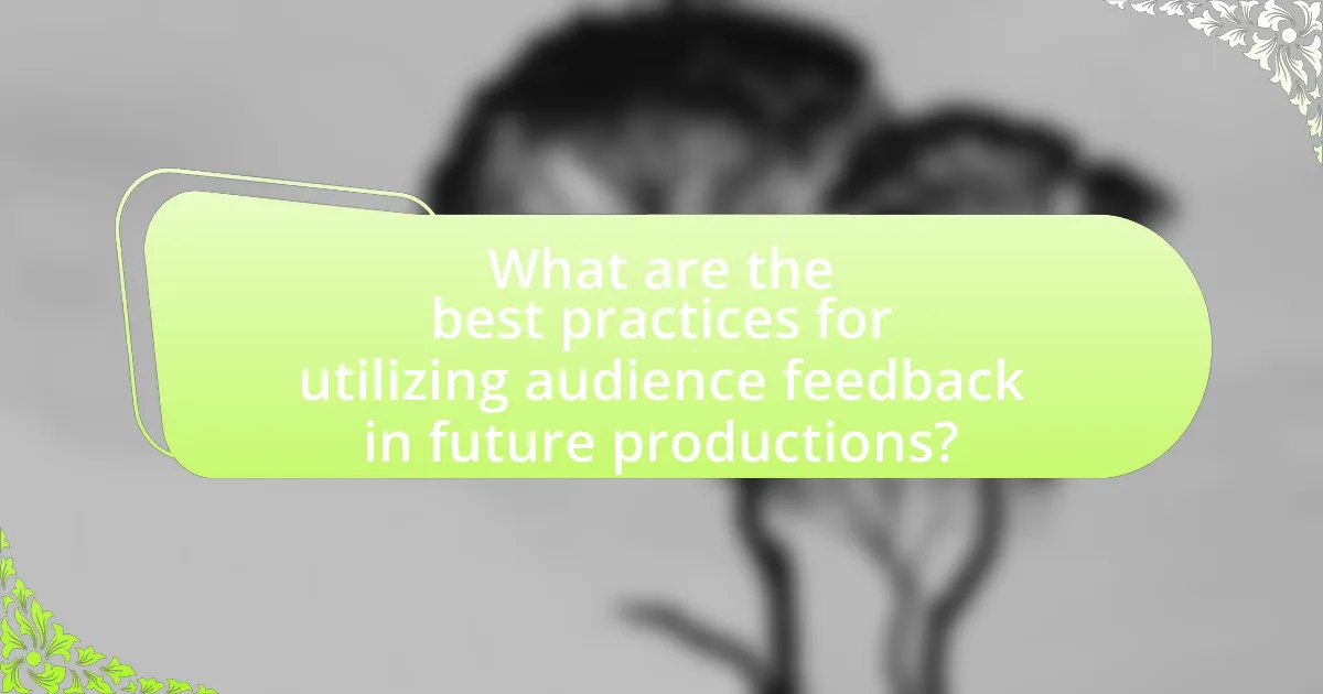 What are the best practices for utilizing audience feedback in future productions?