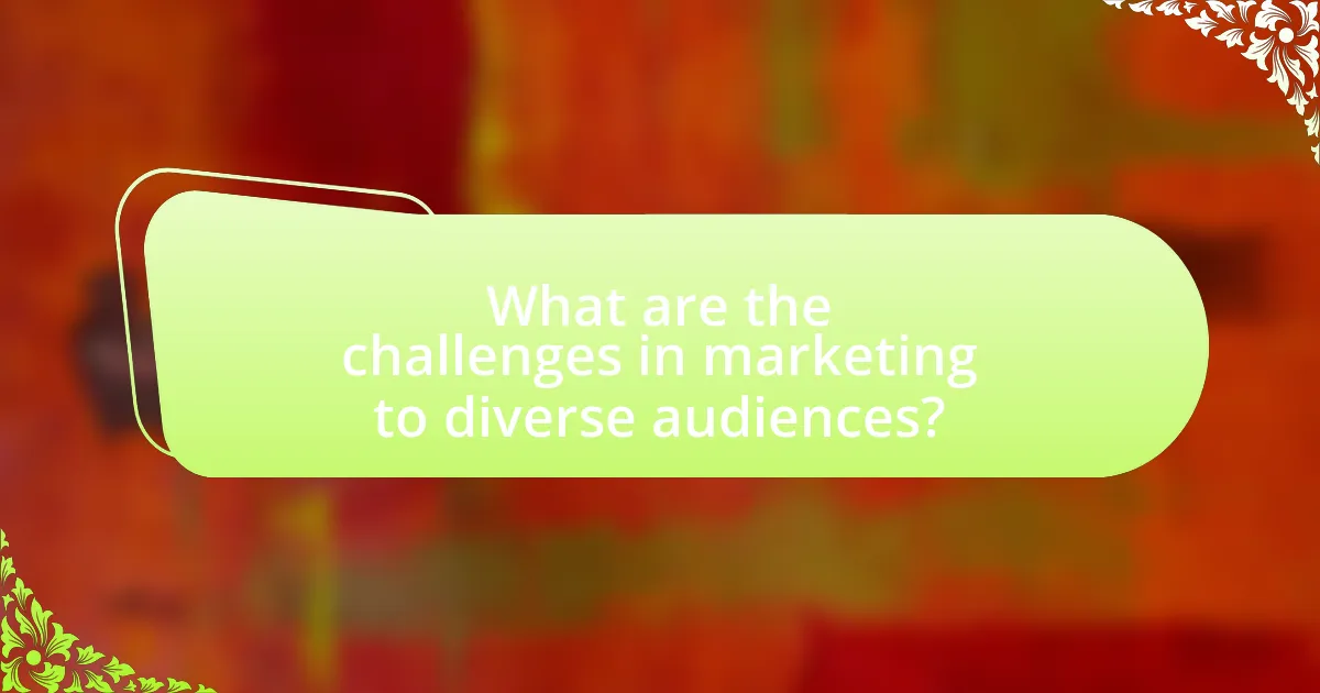 What are the challenges in marketing to diverse audiences?